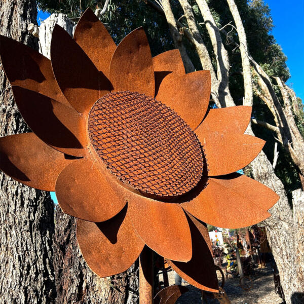 Large sunflower