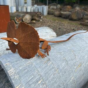 Frill Neck Lizard 1