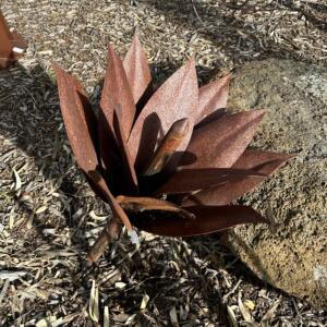 Img-4593