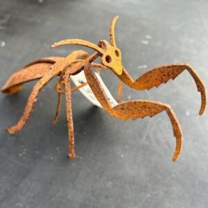 Praying Mantis