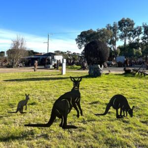 Roo Family