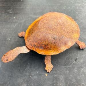 Tortoise