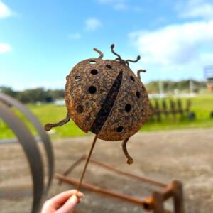 Ladybird Beetle Spike
