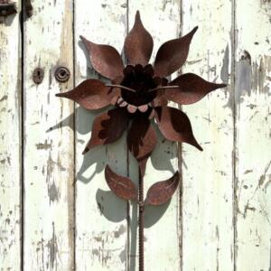 Daffodil Small