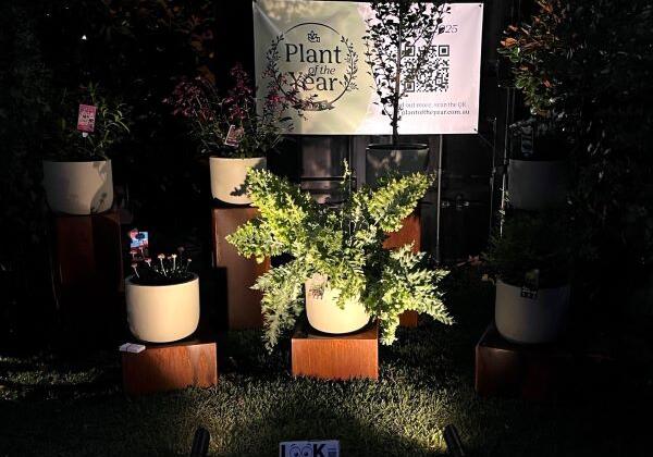 Mifgs Plinth 4